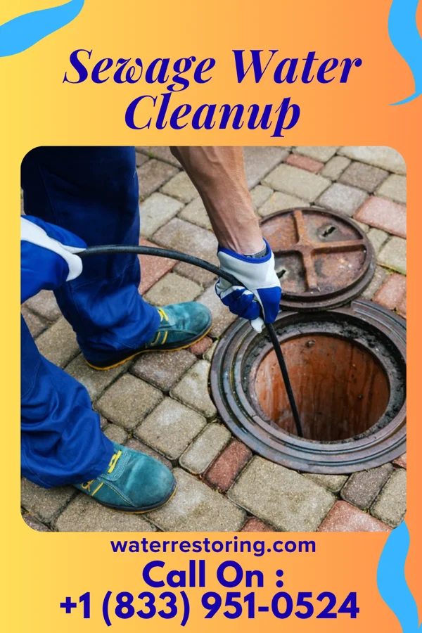 Sewage Water Cleanup in Cotter, AR